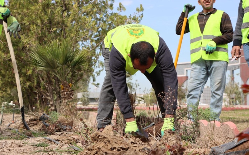 Kirkuk University is witnessing a campaign to maintain and rehabilitate green spaces.