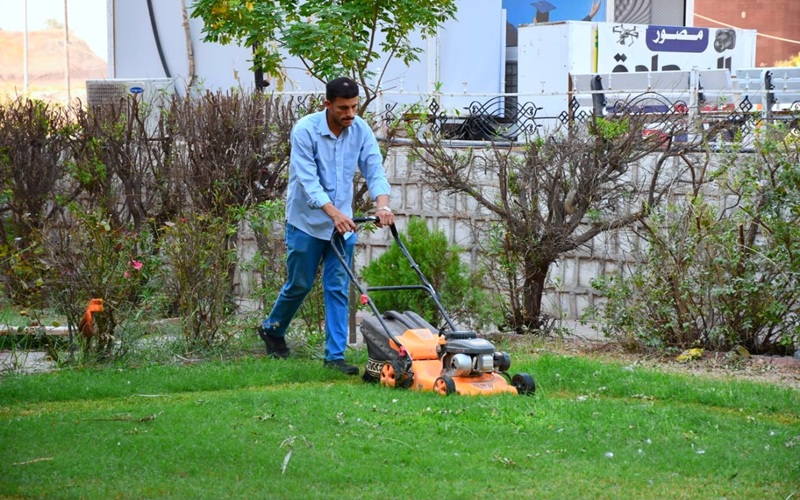 Kirkuk University continues cleanup campaigns and garden maintenance.